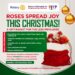 Spread Joy this Christmas